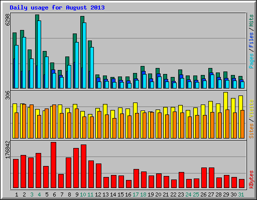 Daily usage for August 2013