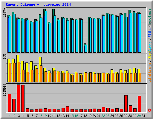 Raport Dzienny -  czerwiec 2024