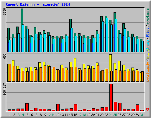 Raport Dzienny -  sierpie 2024