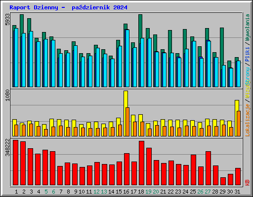 Raport Dzienny -  padziernik 2024