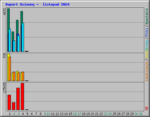 Raport Dzienny -  listopad 2024