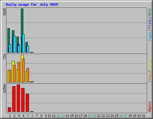 Daily usage for July 2025