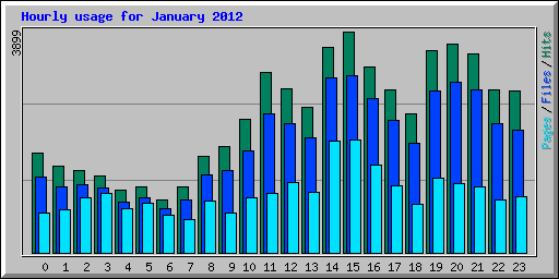 Hourly usage for January 2012