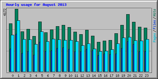 Hourly usage for August 2013