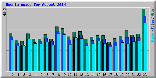Hourly usage for August 2014