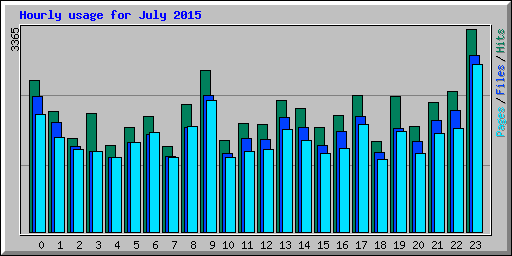 Hourly usage for July 2015