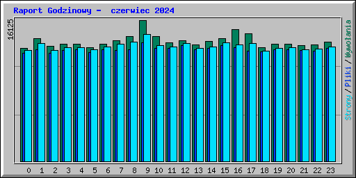 Raport Godzinowy -  czerwiec 2024