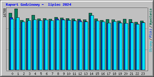 Raport Godzinowy -  lipiec 2024