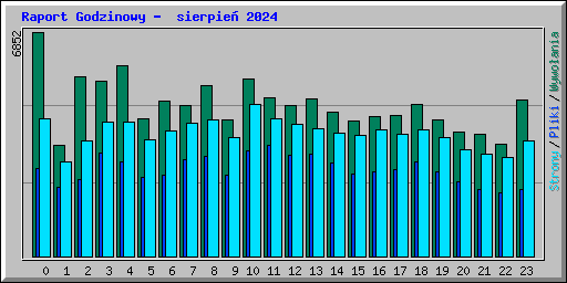 Raport Godzinowy -  sierpie 2024