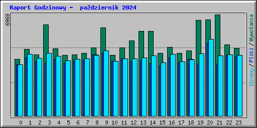 Raport Godzinowy -  padziernik 2024