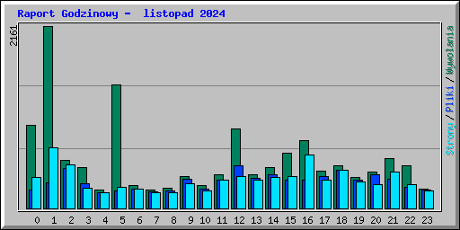 Raport Godzinowy -  listopad 2024