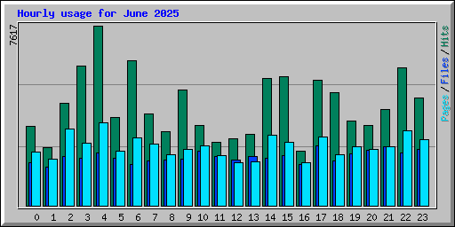 Hourly usage for June 2025