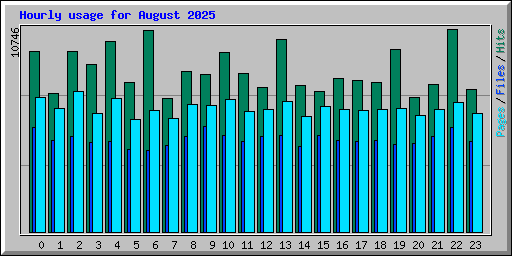 Hourly usage for August 2025