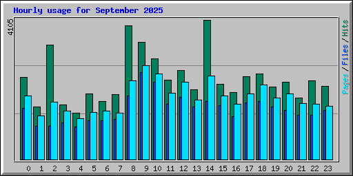 Hourly usage for September 2025