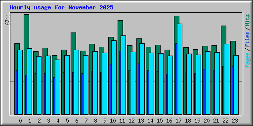 Hourly usage for November 2025