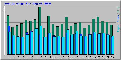 Hourly usage for August 2026